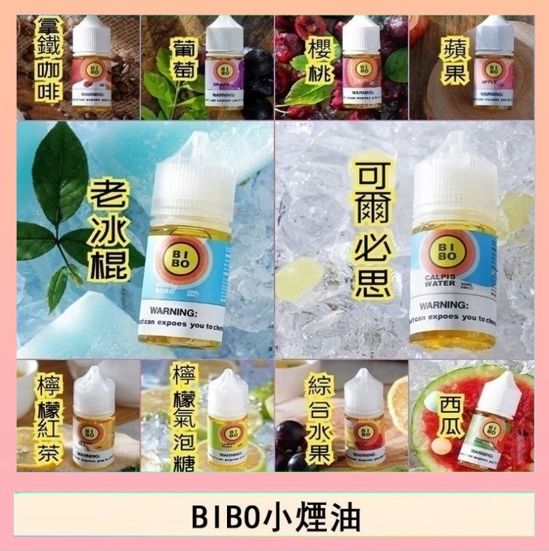 BIBO BIBO經典系列主機小煙油30ML