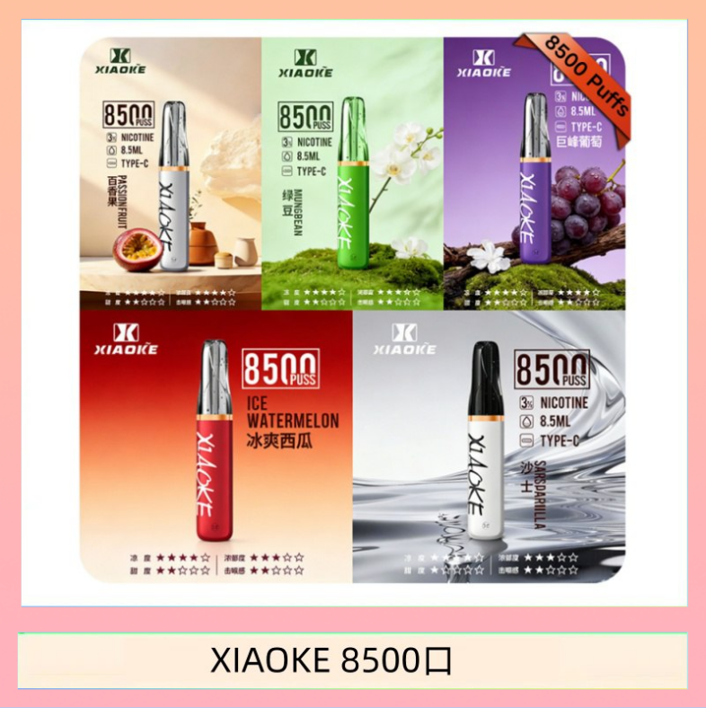XIAOKE8500口 梟客XIAOKE一次性電子菸拋棄式8500口
